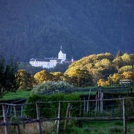 Ferienwohnungen Erlebnisnaturhof Aschau im Chiemgau Eksteriør billede